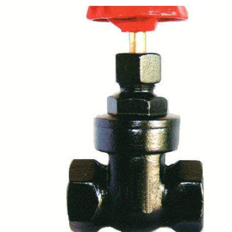 Z15T-10/16���ݼy�l�y